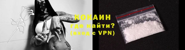 дмт Осинники